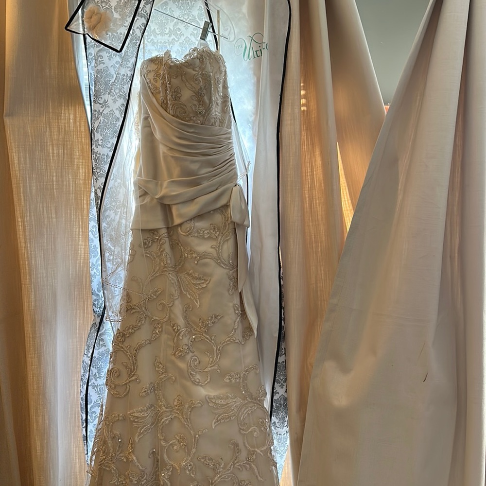 Gorgeous Size 12 Champagne Wedding Dress Sottero and Midgley